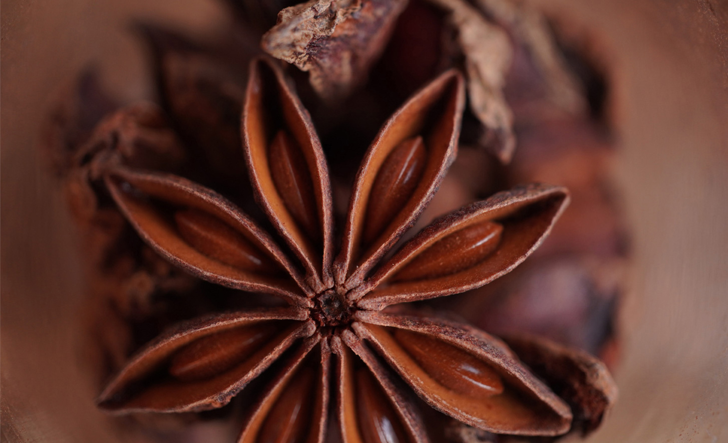 Imagen de muestra capturada con la ZV-E10 y una lente macro